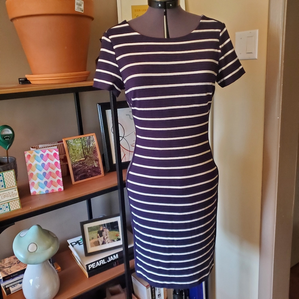 Banana Republic Factory Striped Sheath Dress